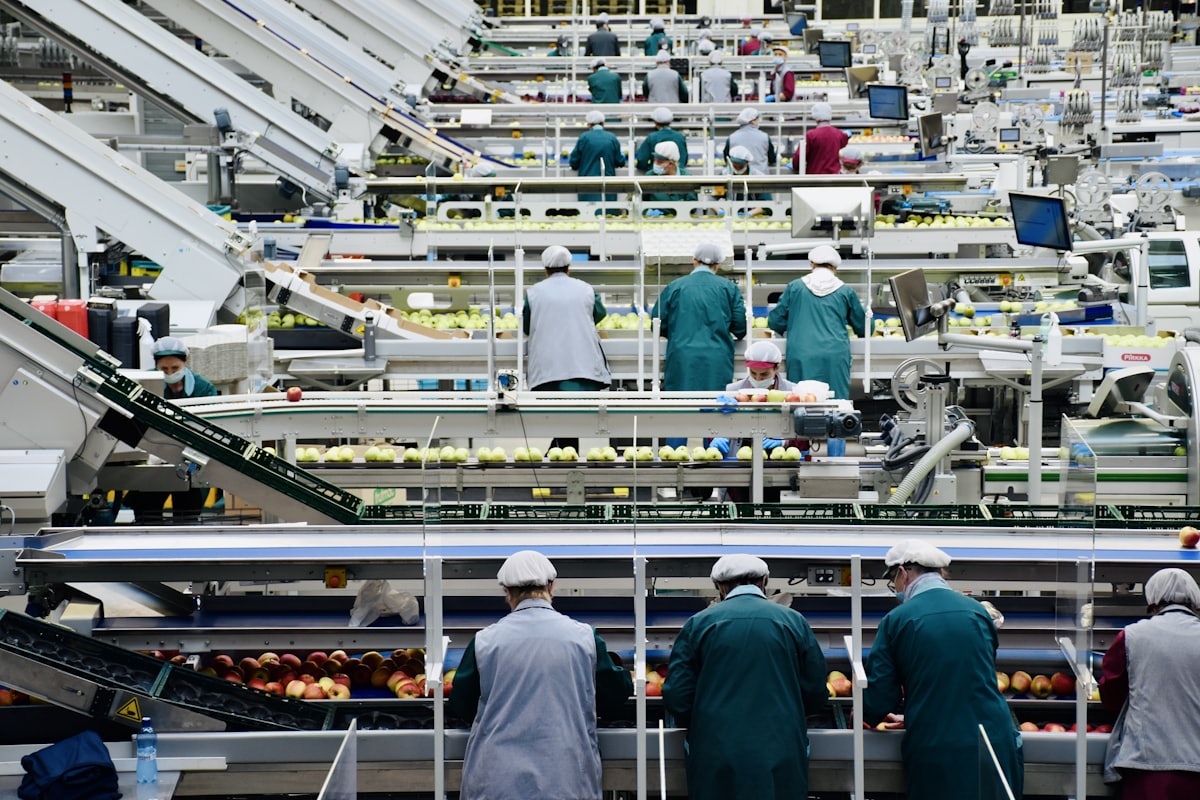 Setor de produção em frigorífico